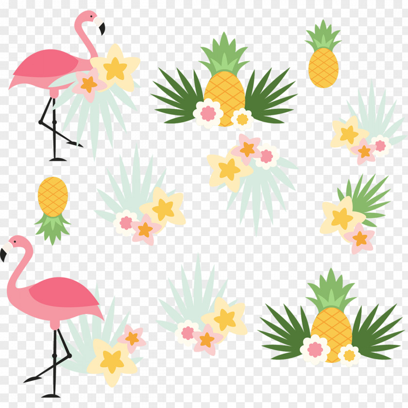Flamant Rose Flamingo Desktop Wallpaper PNG