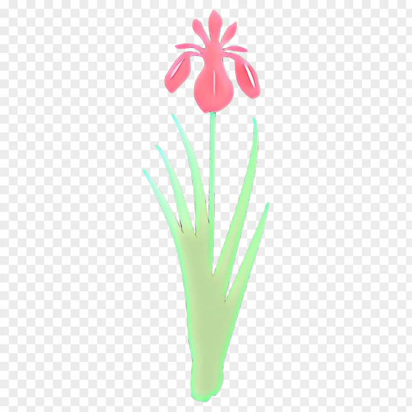 Flower Plant Grass Pedicel Tulip PNG