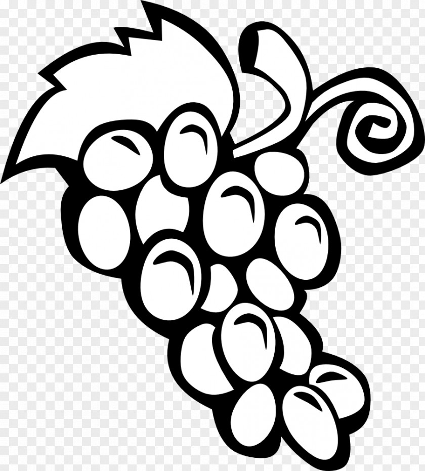 Grape Cliparts Wine Common Vine Clip Art PNG