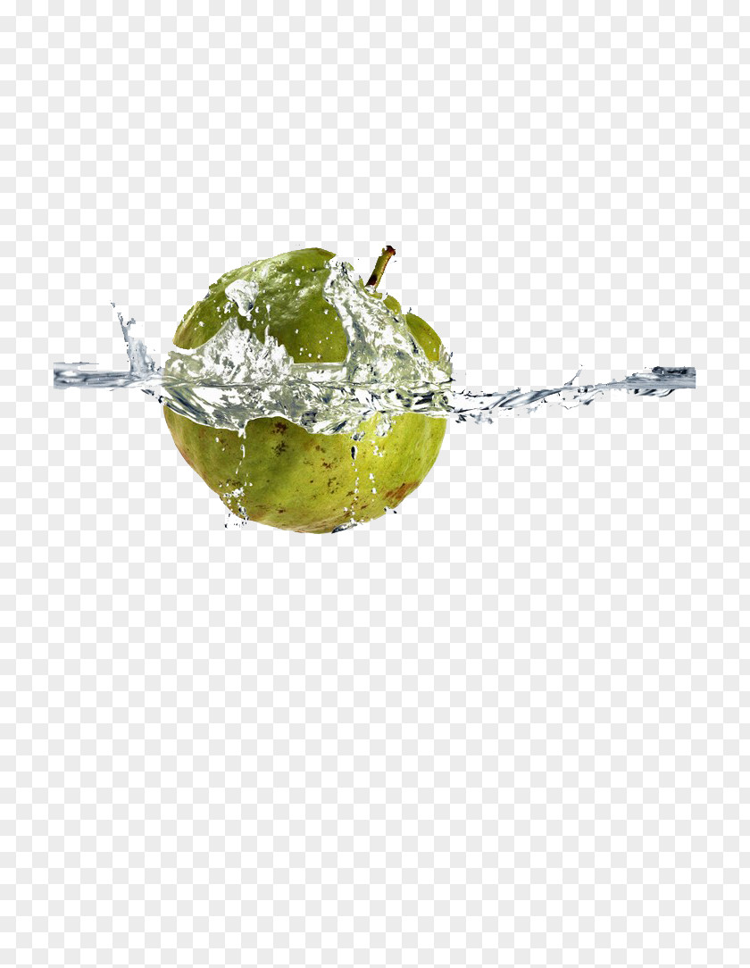 Lemon In The Water Auglis Lime Apple PNG
