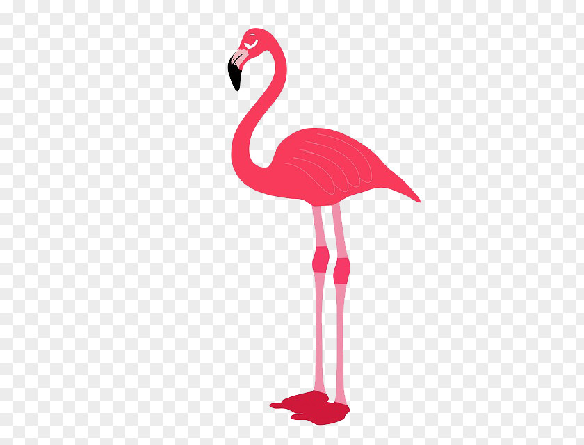 Lovely Hand-painted Flamingos Flamingo Bird Stock Photography Clip Art PNG