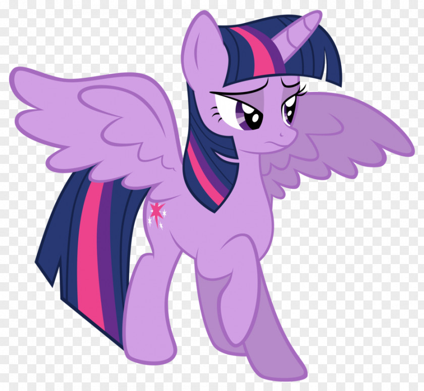 My Little Pony Twilight Sparkle Spike Rarity Rainbow Dash PNG