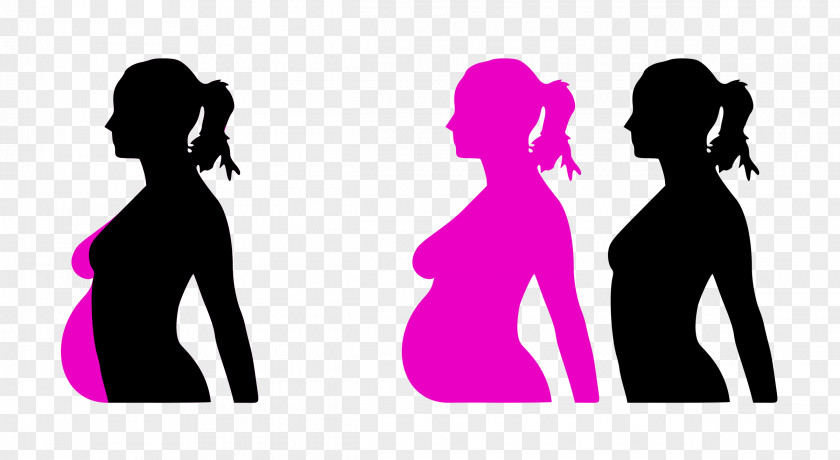 Pregnant Pregnancy Test Poster Woman PNG