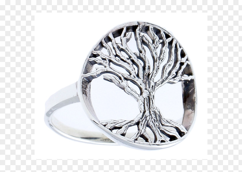 Ring Sterling Silver Jewellery Costume Jewelry PNG