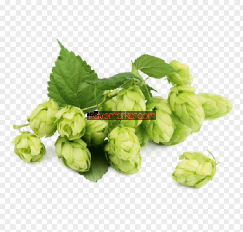 Beer Brewing Grains & Malts Ale Royalty-free Extract PNG