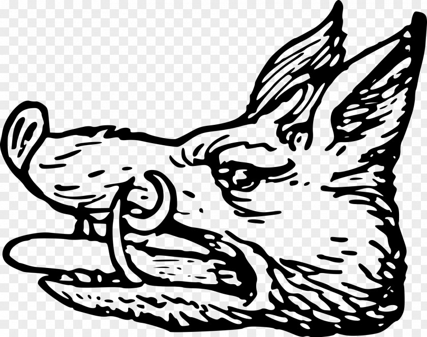 Boar Wild Scottish Heraldry Wikimedia Commons PNG