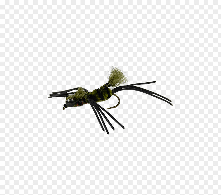 Crayfish Bass Fresh Water Fly Fishing Insect PNG