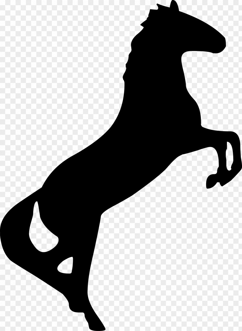Horse Bronco Stallion Rearing Clip Art PNG