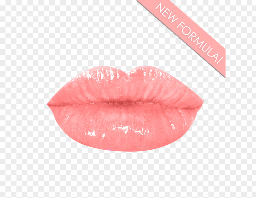 Lipstick Lip Balm Gloss Sunscreen PNG