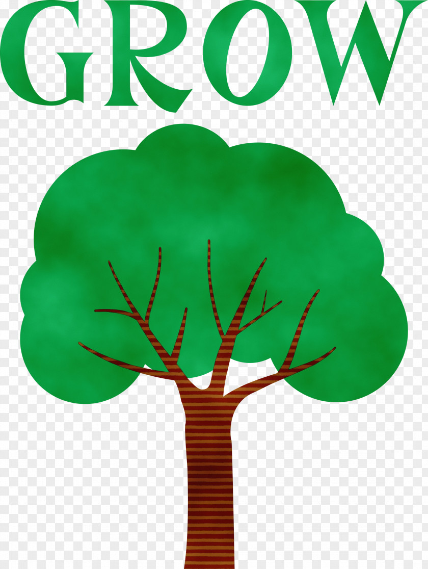 Leaf Plant Stem Tree Green Font PNG