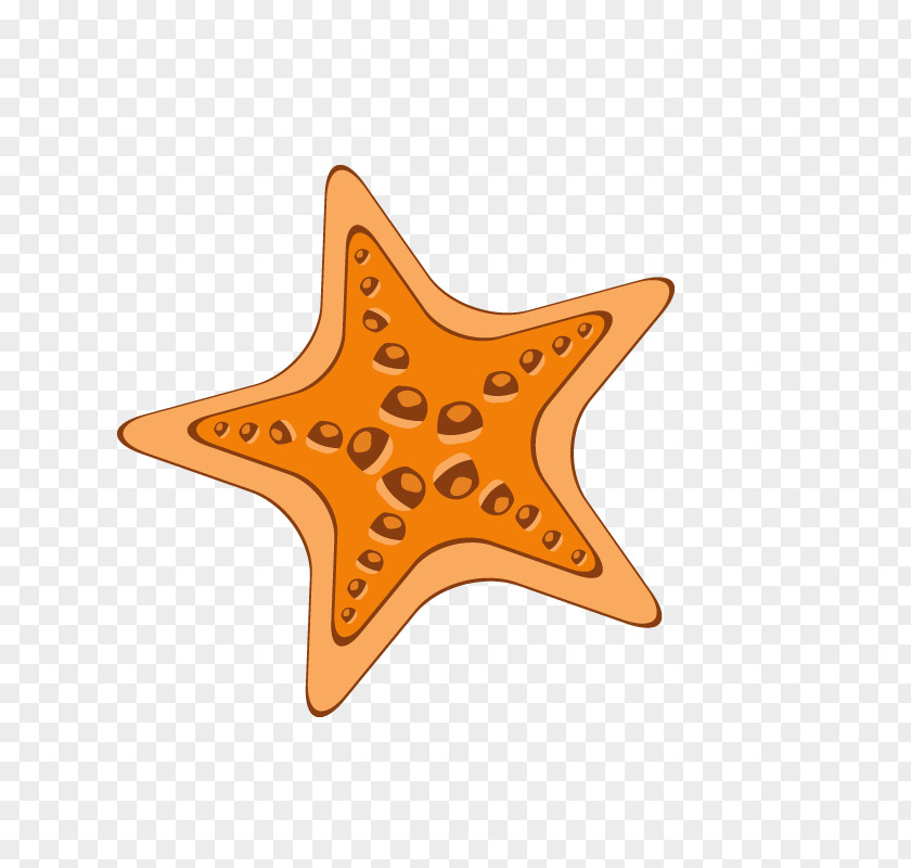 Starfish Royalty-free Photography Marketing Illustration PNG