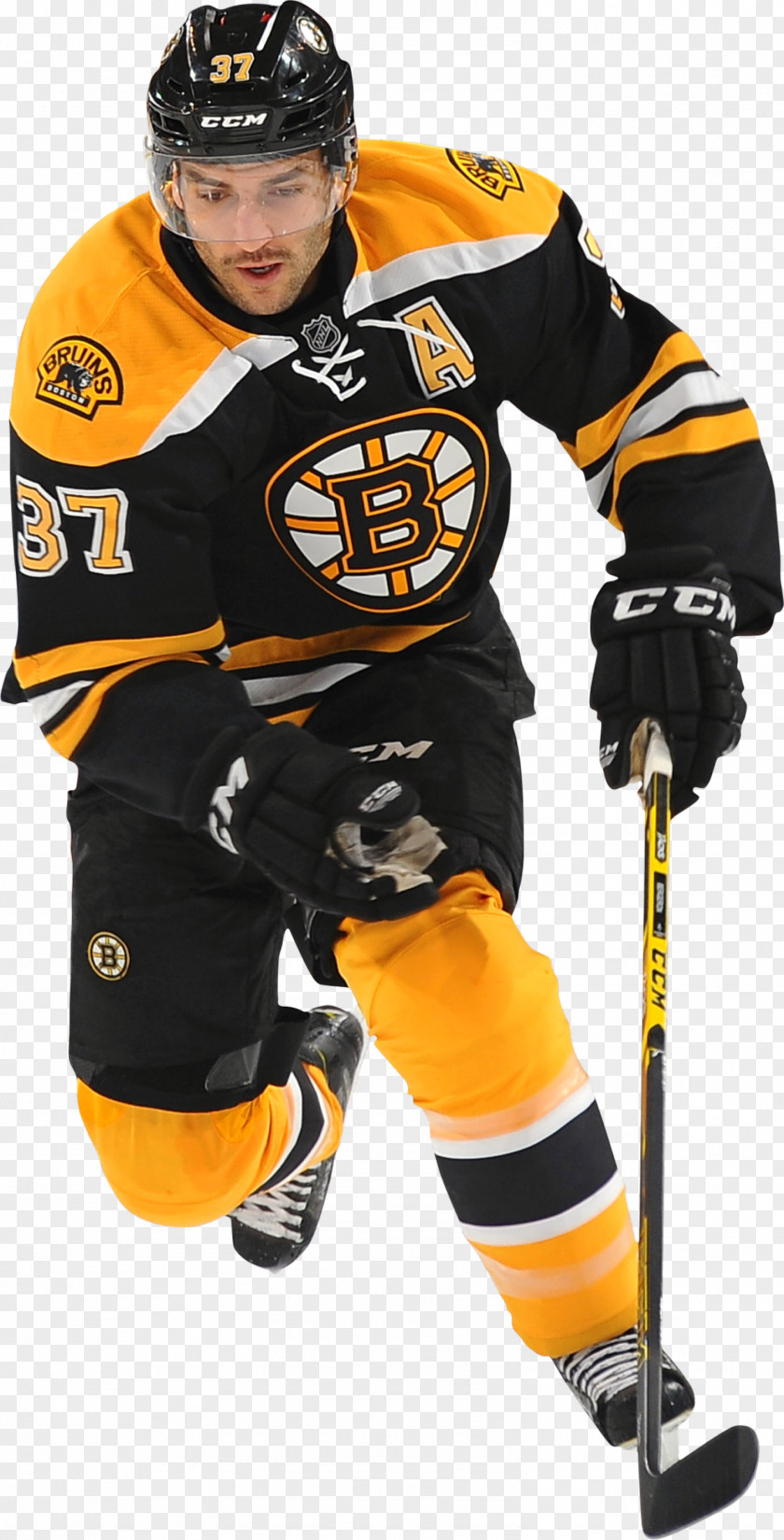 Boston Bruins Bear Patrice Bergeron College Ice Hockey Goaltender Mask PNG