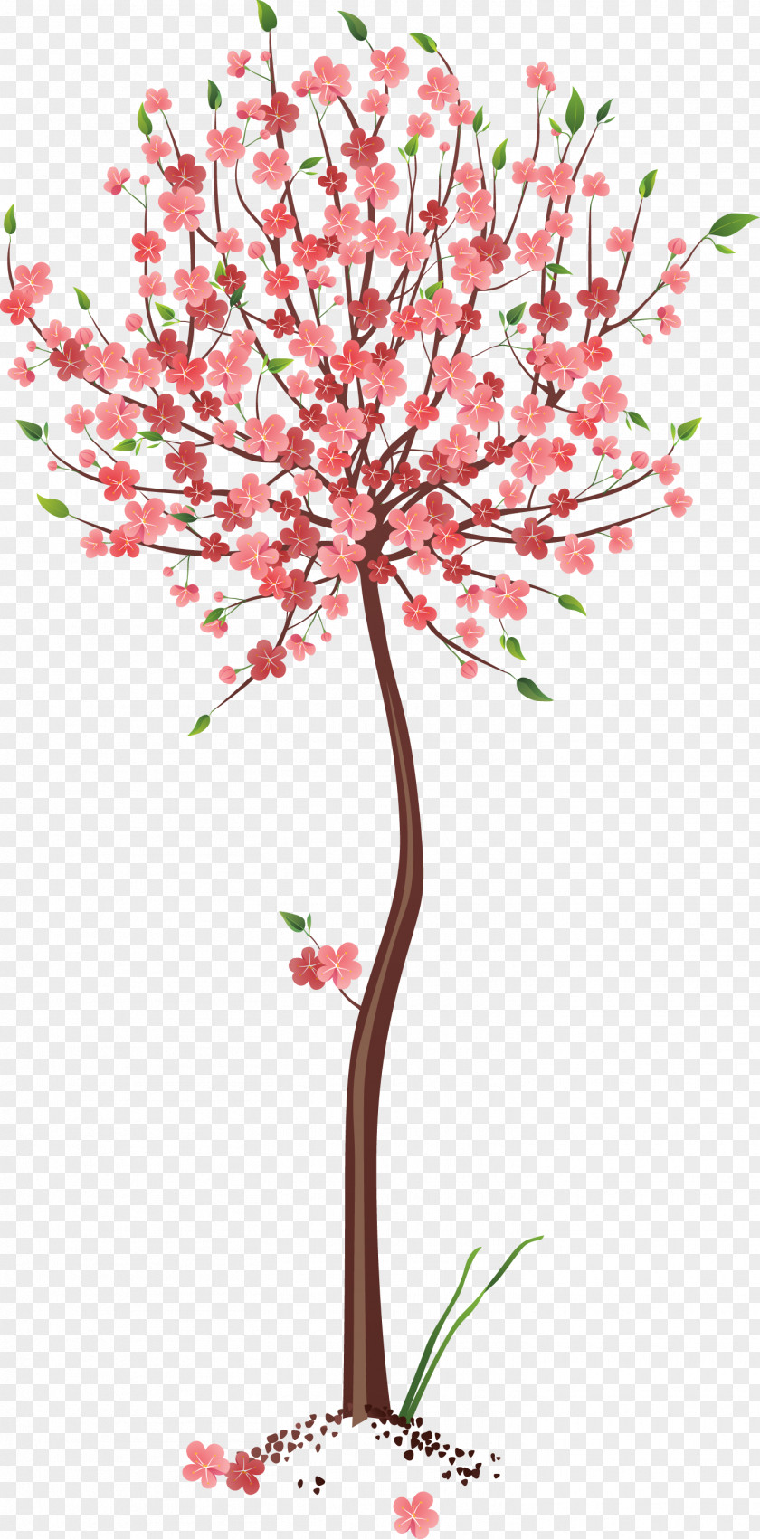 Clip Art Image Tree Drawing PNG