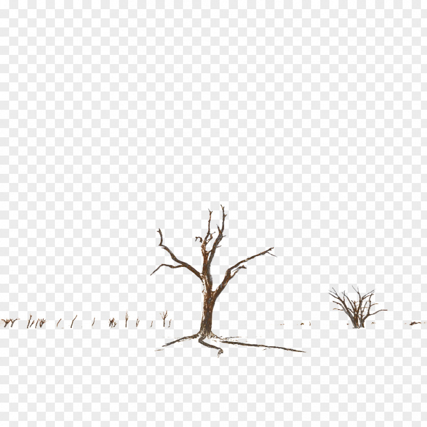 Dead Trees In Late Autumn Black And White Pattern PNG