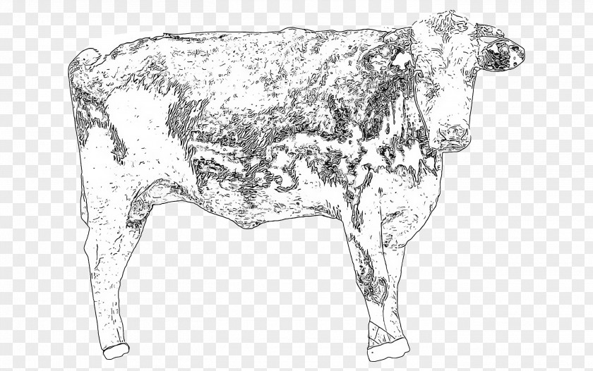 Livestock Calf Bovine Bull Cow-goat Family Line Art Dairy Cow PNG