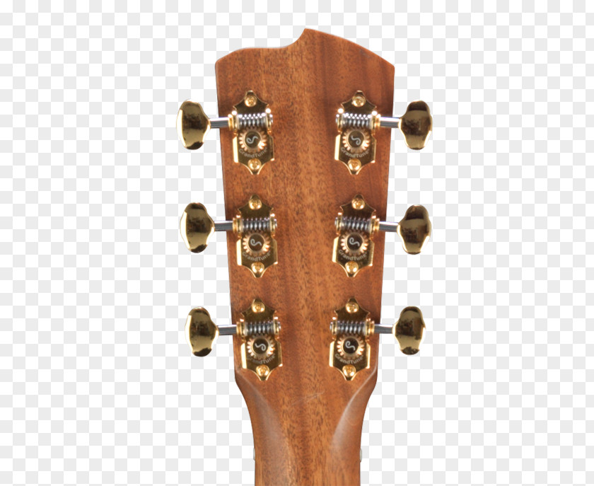 Acoustic Guitar Steel-string Flatpicking Nut PNG