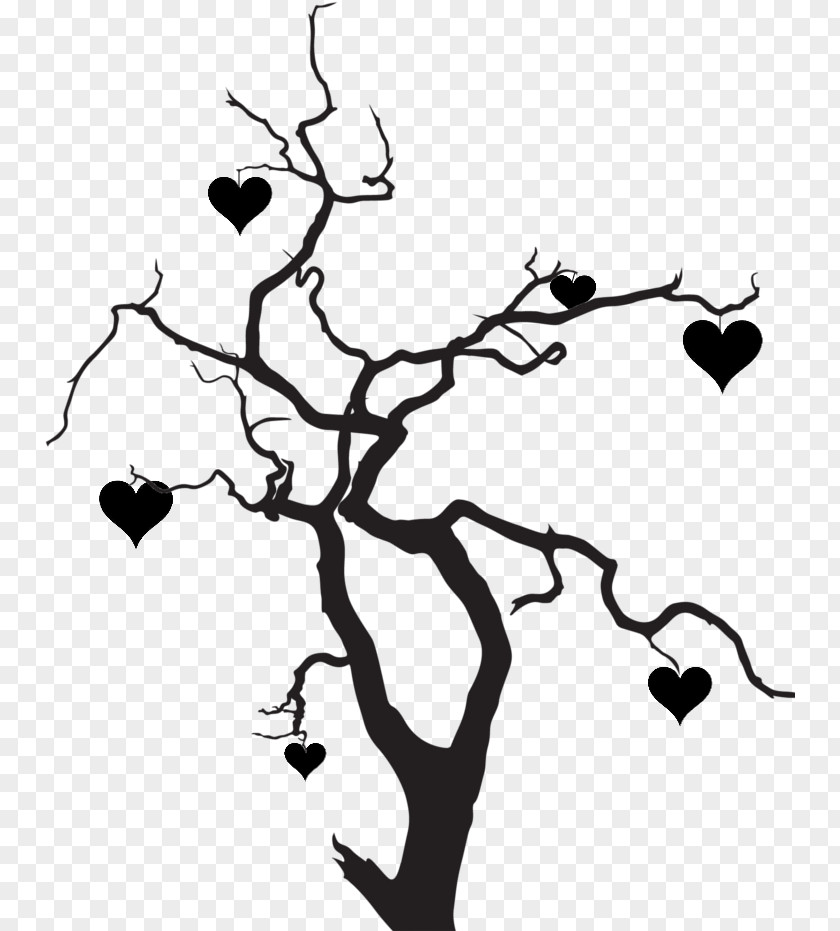 Blackandwhite Plant Stem Tree Trunk Drawing PNG