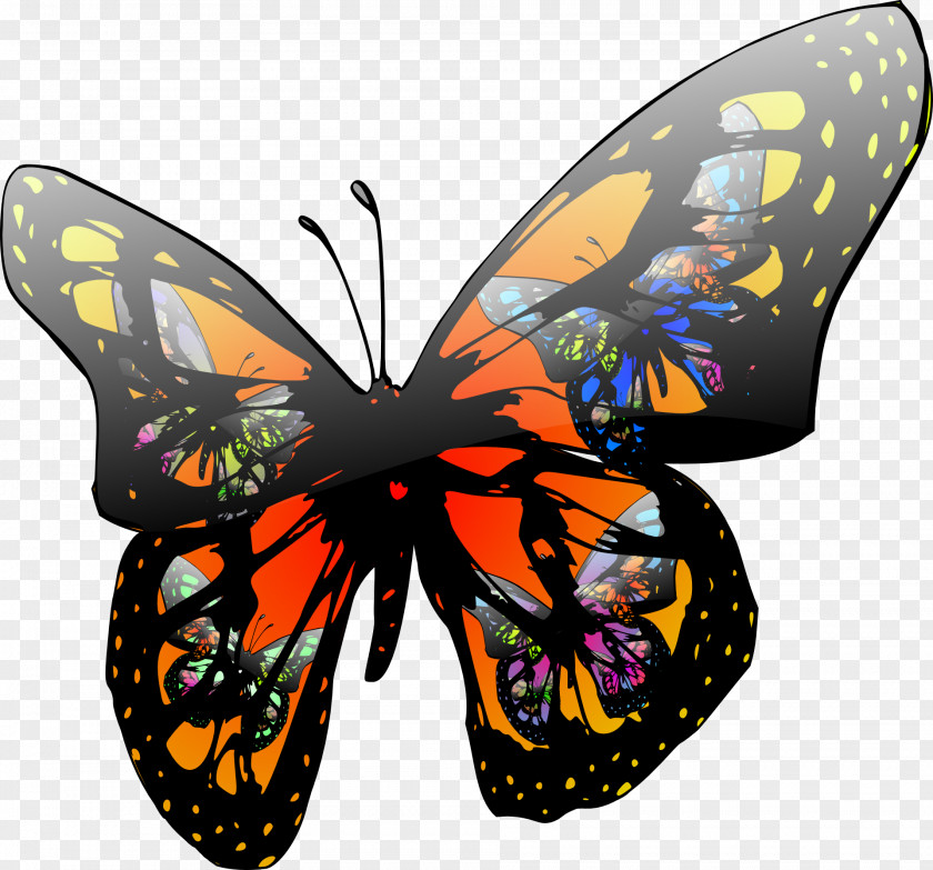 Butterfly Effect Insect Chaos Theory Clip Art PNG