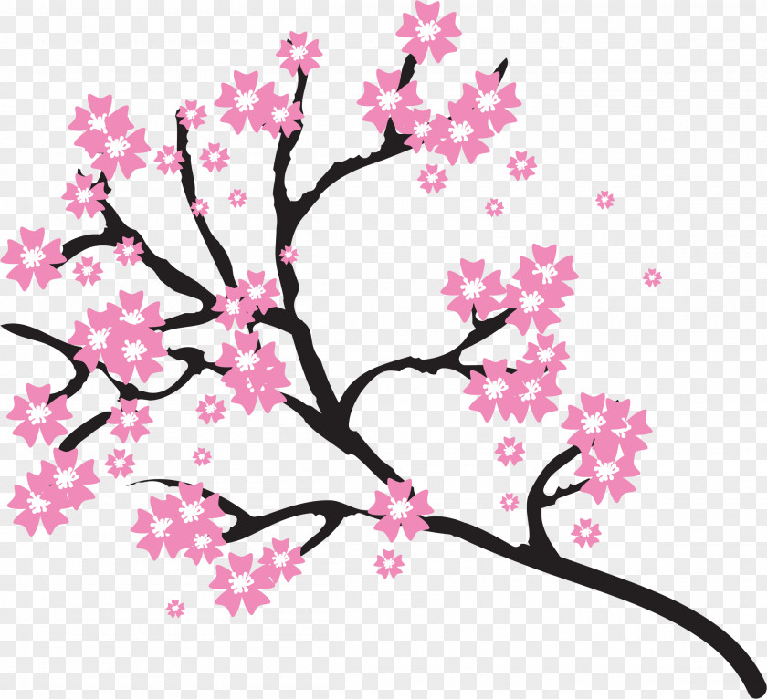 Cherry Blossom Drawing Clip Art PNG