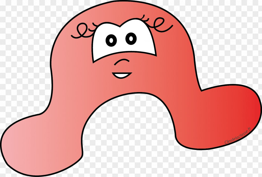 Design Organism Clip Art PNG