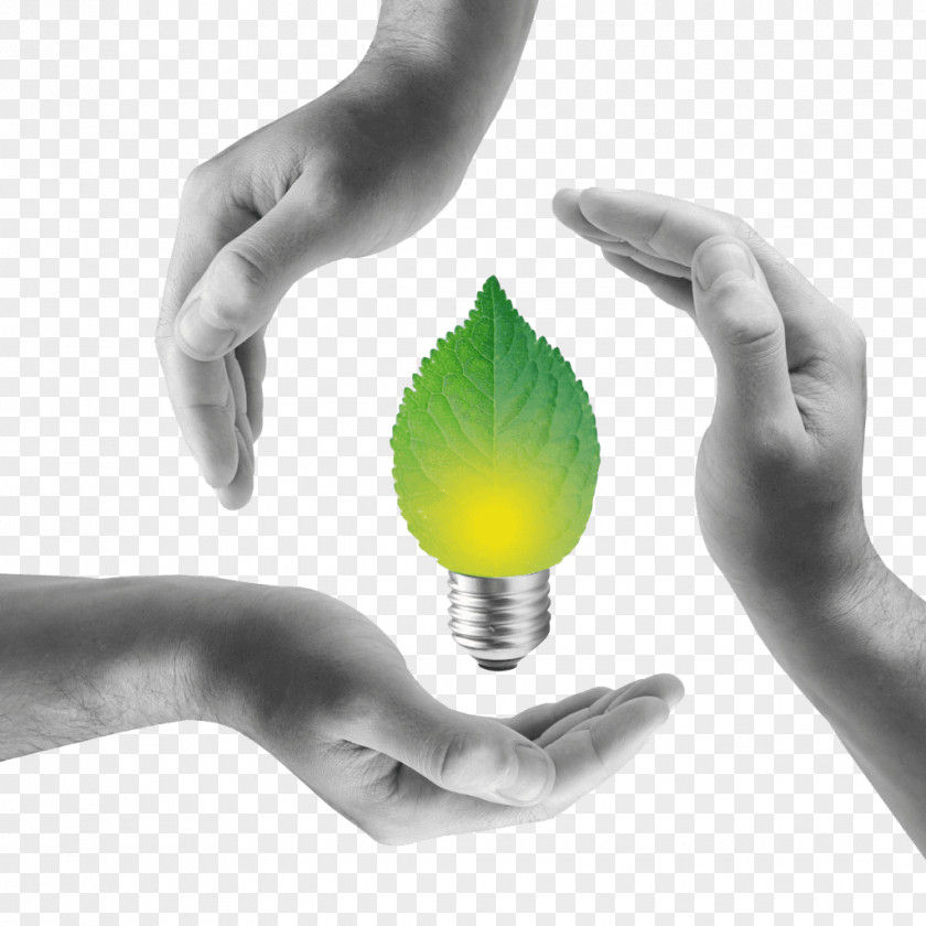 Energy Electricity Renewable Development Business PNG