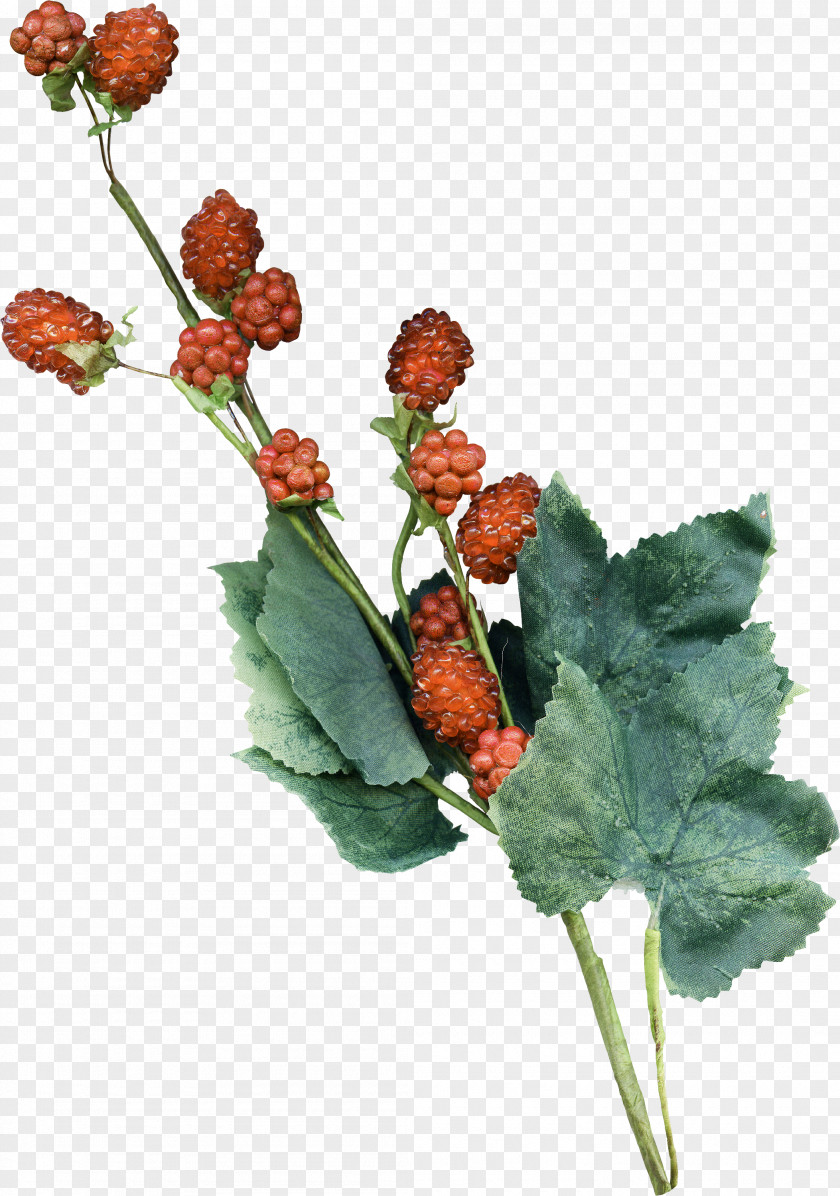 Flower Artificial Plant Stem Auglis PNG