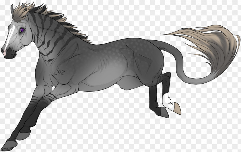 Mustang Mane Stallion Mare Rein PNG