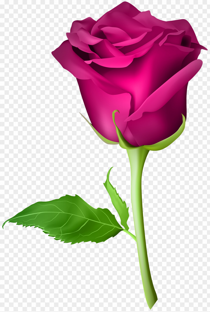Rose Pink Transparent Clip Art Image Blue Flower Bead PNG