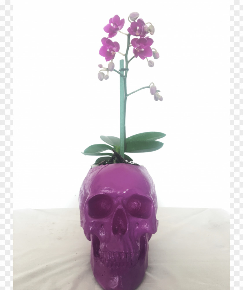 Vase Moth Orchids Artificial Flower PNG