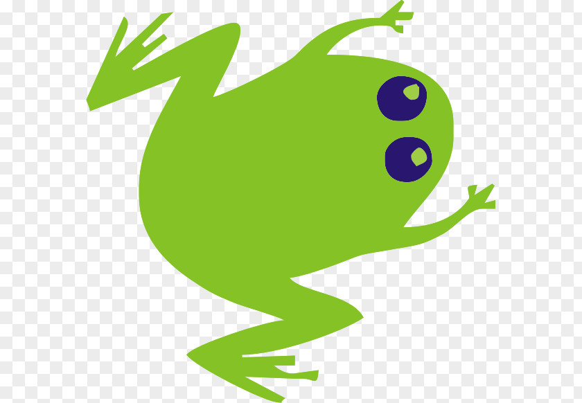 Baby One Piece Tree Frog True Toad Clip Art PNG