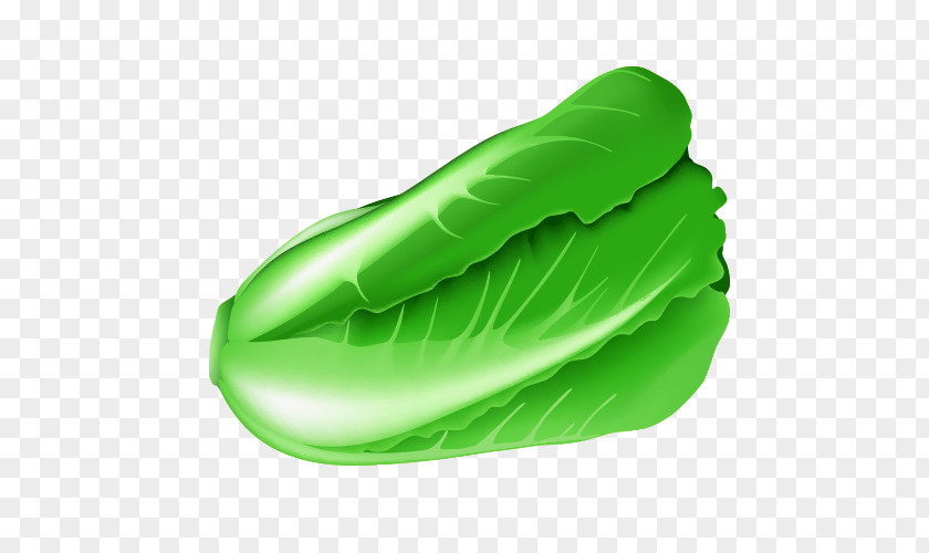 Cartoon Cabbage Vegetable PNG