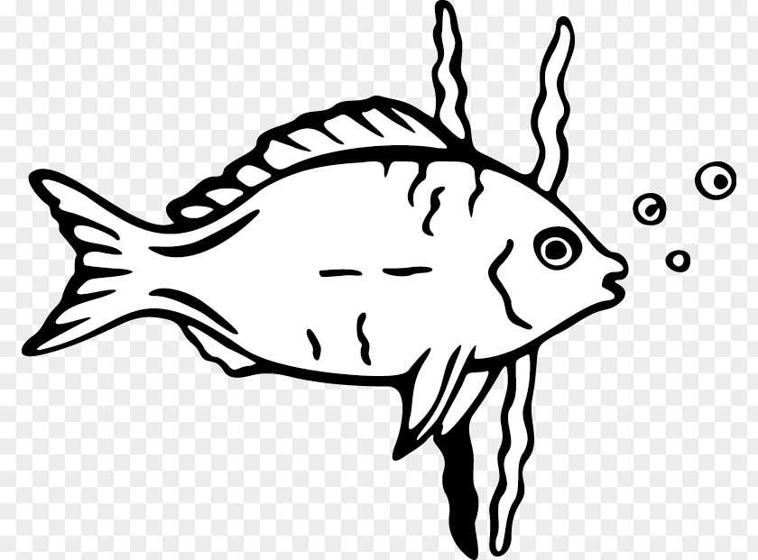 Cartoon Fish Drawing Clip Art PNG