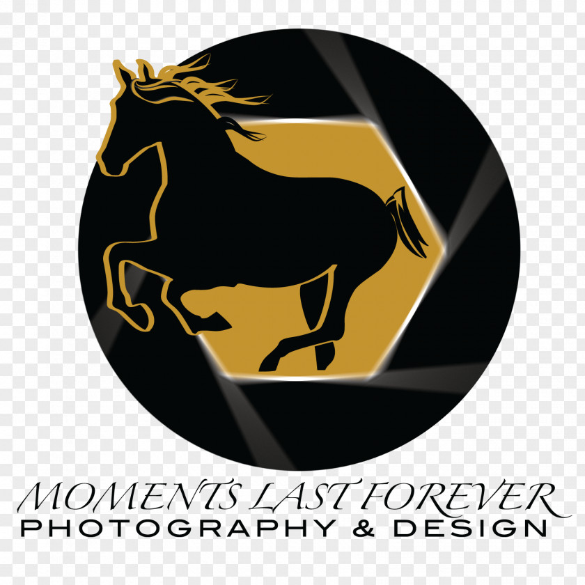 Horse Logo Font PNG