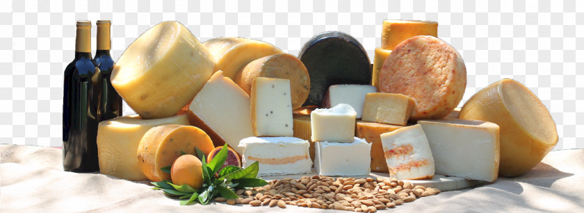 Artisan Cheese Modesto Nicolau Farms South Carpenter Road Information PNG