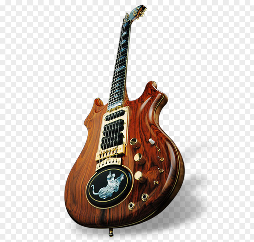 Bass Guitar Acoustic-electric Musical Instruments PNG