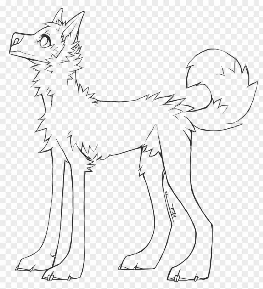 Canine Schipperke Rough Collie Radix Drawing Ternary Numeral System PNG