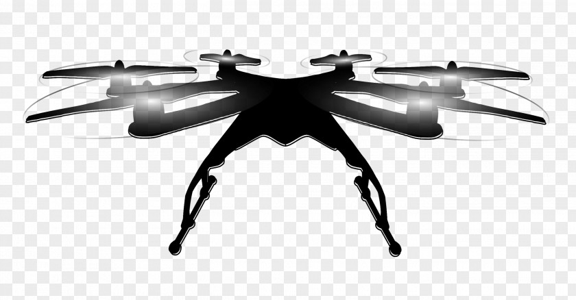 Drone Logo Insect PNG