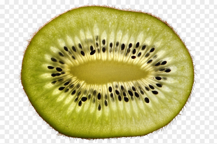 Kiwifruit Auglis PNG