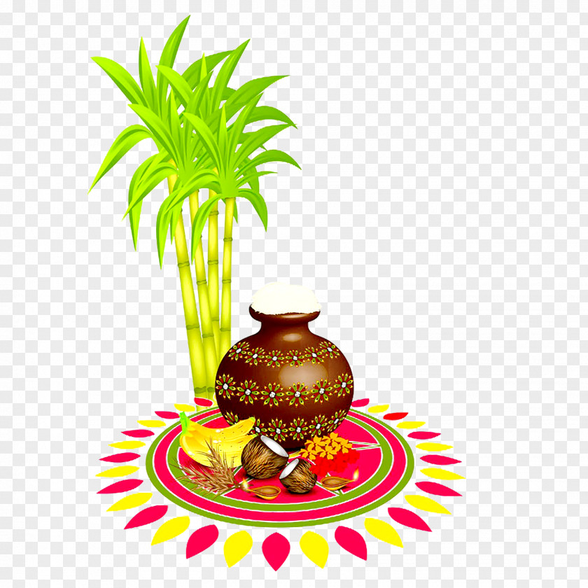 Thai Illustration Pongal Makar Sankranti Telugu Language Rangoli PNG