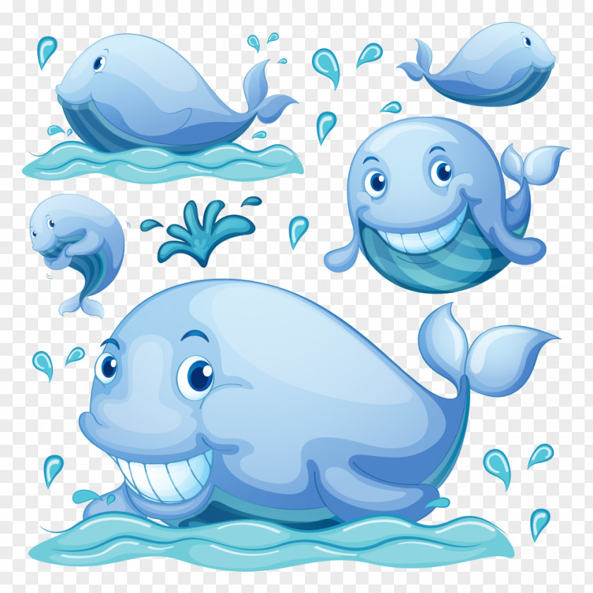 Vector Whale Royalty-free Photography Clip Art PNG