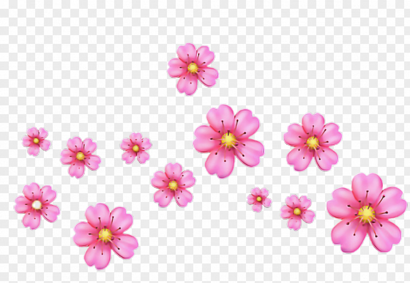 Wildflower Plant Cherry Blossom Cartoon PNG