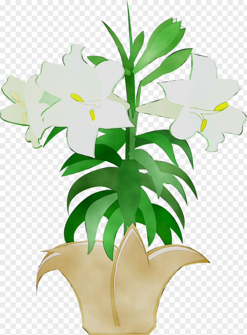 Floral Design Cut Flowers Plant Stem Leaf PNG