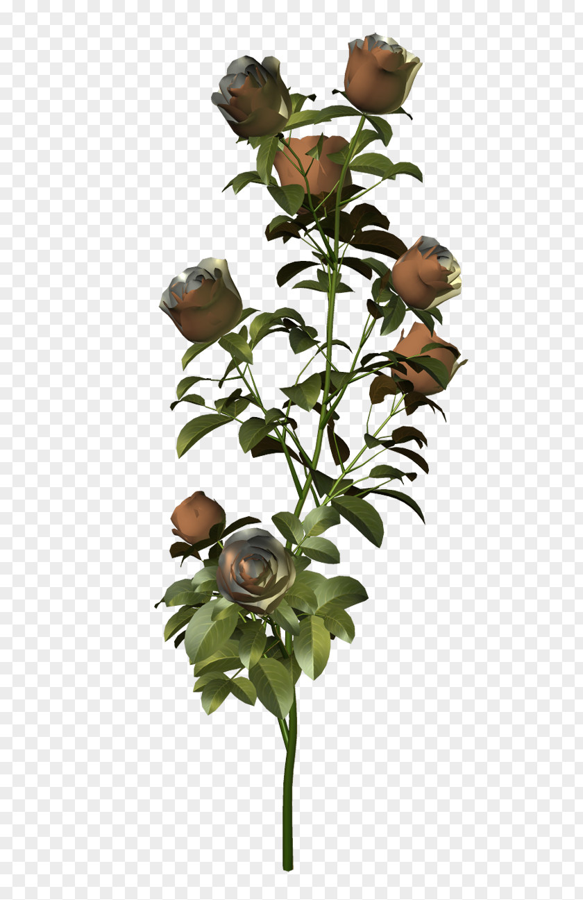 Flower Garden Roses Cut Flowers Plant Stem PNG