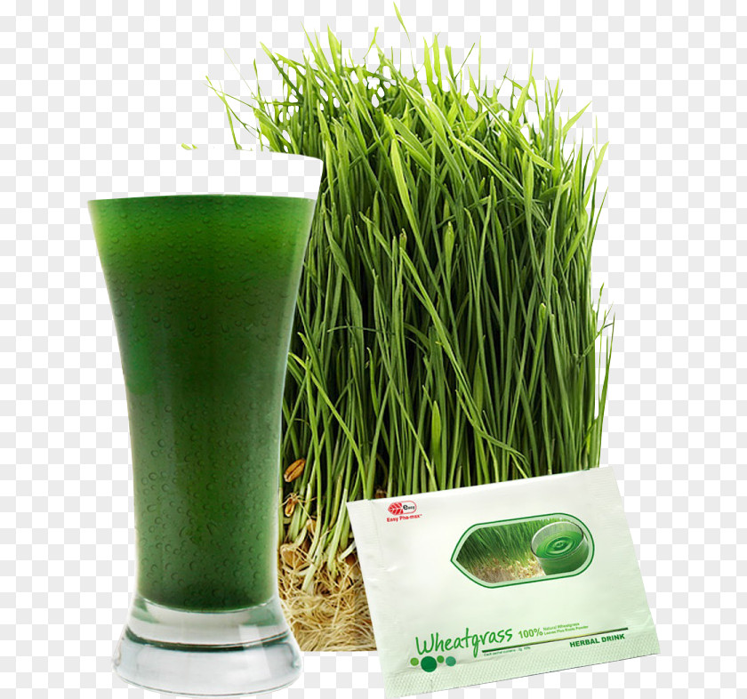 Juice Wheatgrass Health Shake Dietary Supplement PNG