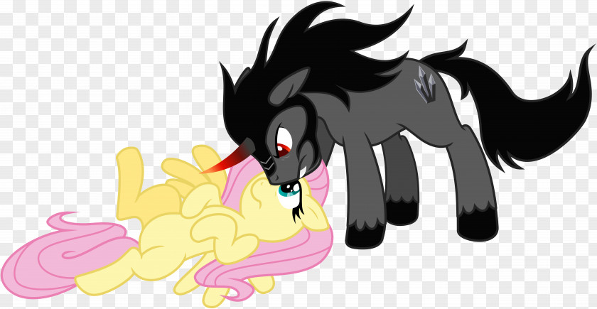 My Little Pony Fluttershy Twilight Sparkle Rarity Rainbow Dash PNG