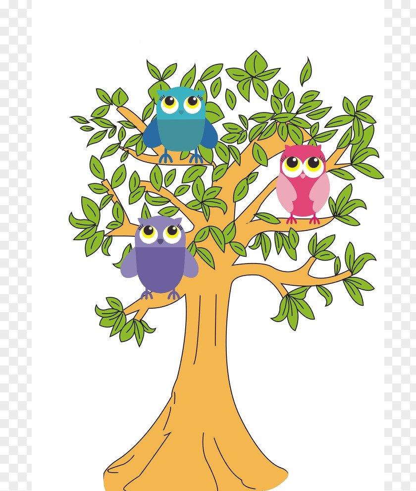 Tree Branch Owl Clip Art PNG