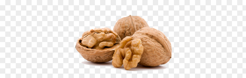 Walnut PNG clipart PNG