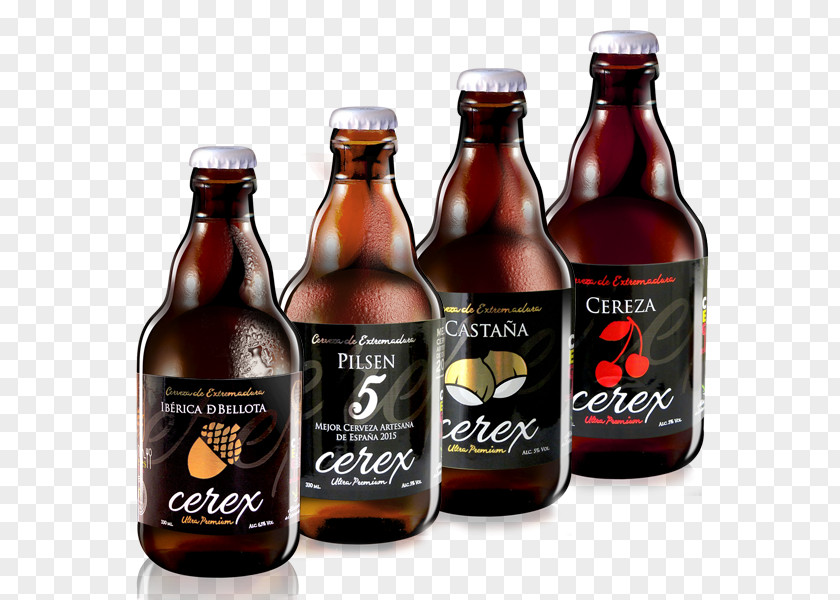 Beer Craft Cider Cerex Degustation PNG