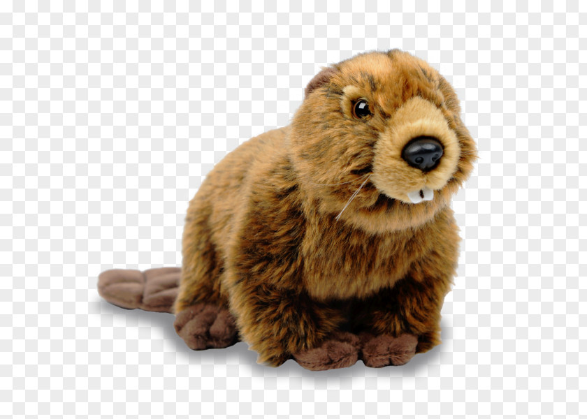 Canada Beaver Clip Art PNG