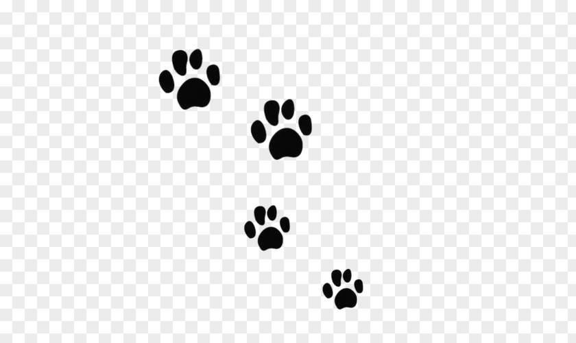Dog Paw Maine Coon Veterinarian Clip Art PNG